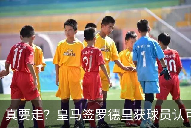 真要走？皇马签罗德里获球员认可 曼城是否放人取决于一先决条件