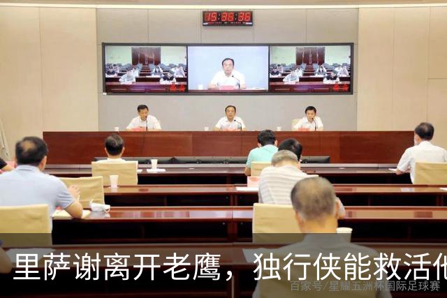 里萨谢离开老鹰，独行侠能救活他吗？