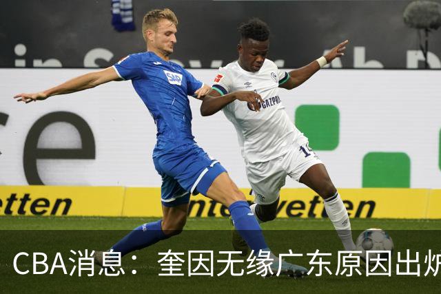 CBA消息：奎因无缘广东原因出炉，南京签下新大外法尔，北京同时追求威瑟斯庞和布朗，广州龙狮告别郭艾伦